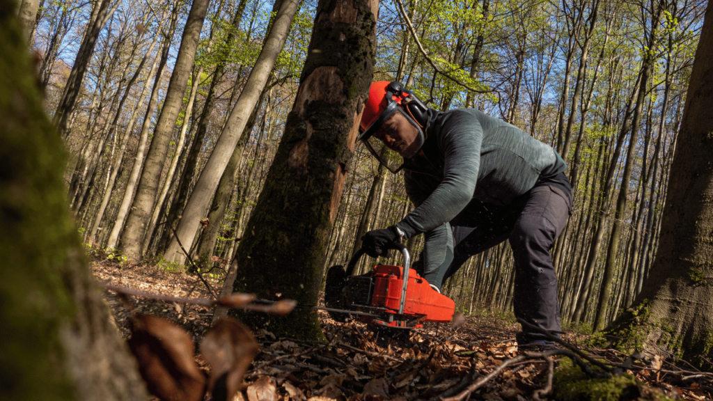 Proper Chainsaw Shutdown