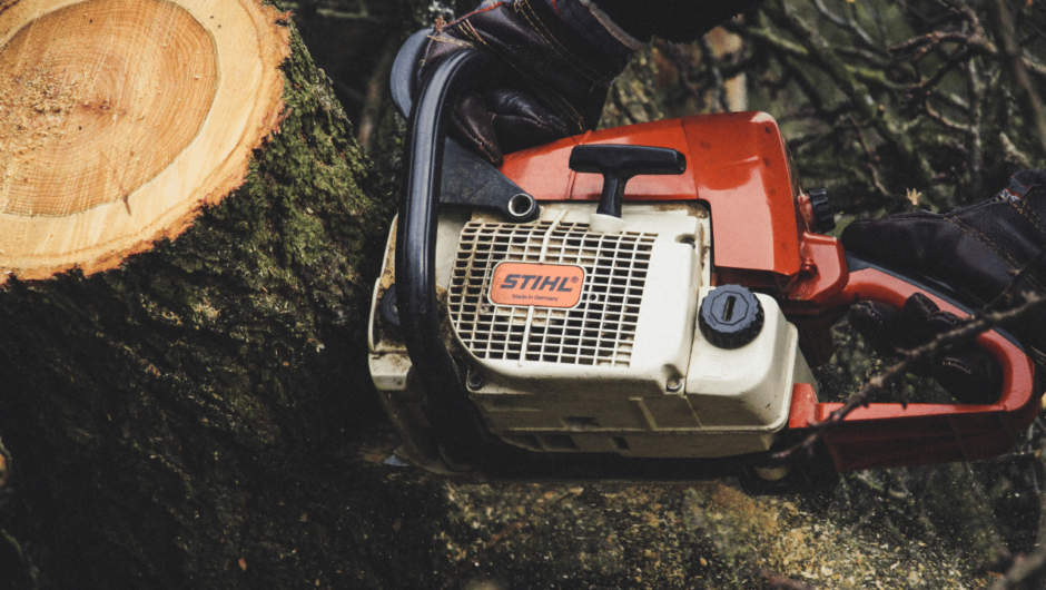 Does A Chainsaw Cut Wet Or Dry Wood Better?