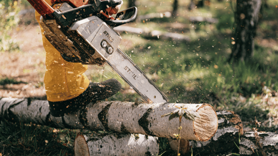 What Chainsaw Chain Do Professionals Use?