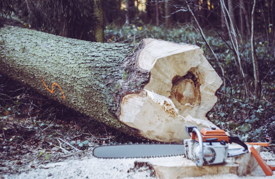 How Big Of A Tree Can An 18 Inch Chainsaw Cut